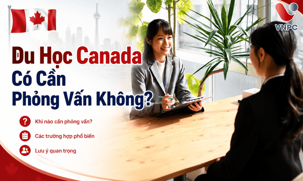 KING888 Canada Có Cần Phỏng Vấn Không? Giải Đáp Chi Tiết